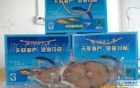 水產(chǎn)品批發(fā)與產(chǎn)業(yè)鏈概述 從捕撈加工到代理經(jīng)銷